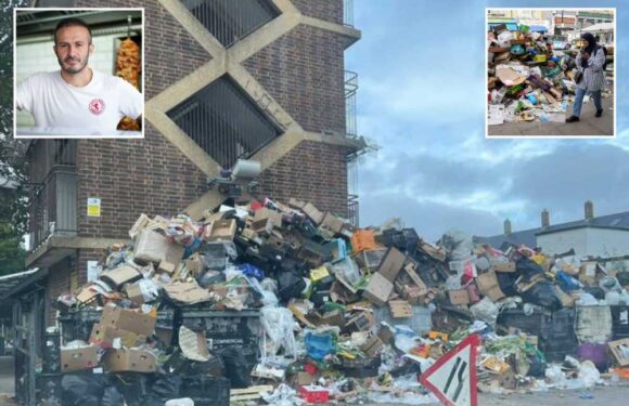 Our iconic streets are covered in 6ft towers of rubbish – huge rats run wild and we’re the ones left to clean it all up | The Sun
