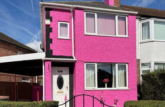 Our neighbour painted her home bright PINK – now it's up for sale and we’re really worried the new owner could change it | The Sun