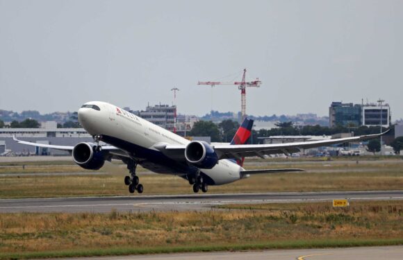 Passenger's toilet mishap in front of horrified travellers forces plane to make emergency landing over 'biohazard' | The Sun
