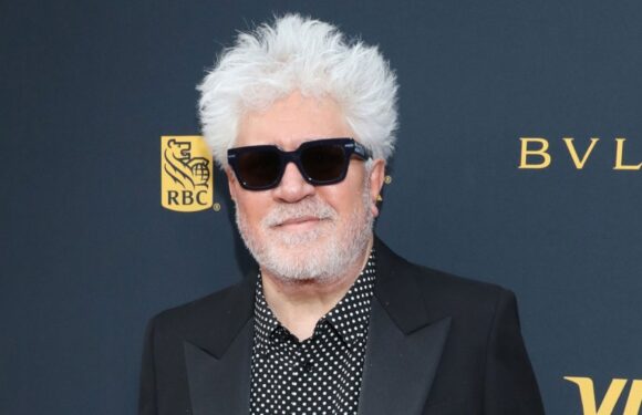 Pedro Almodóvar Hopes For “Solutions” In Strikes — TIFF Tribute Awards
