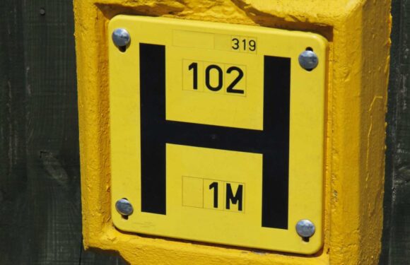 People are only just realising what those H symbols on yellow blocks in the street mean, and it's blowing their minds | The Sun