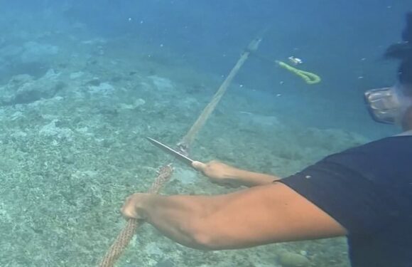 Philippines diver removes 1,000ft floating barrier deployed by Beijing