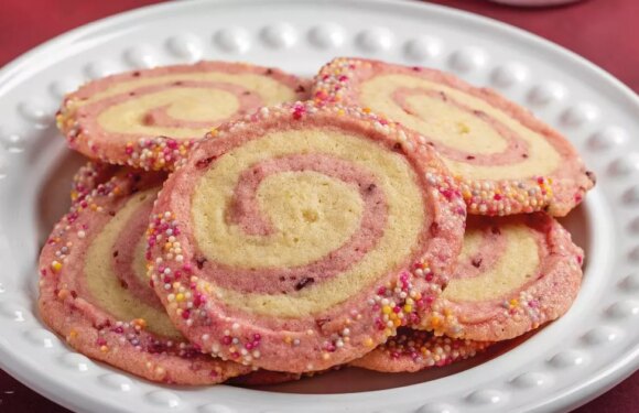 Plant-based allergy-friendly cookie recipe for the whole family to enjoy