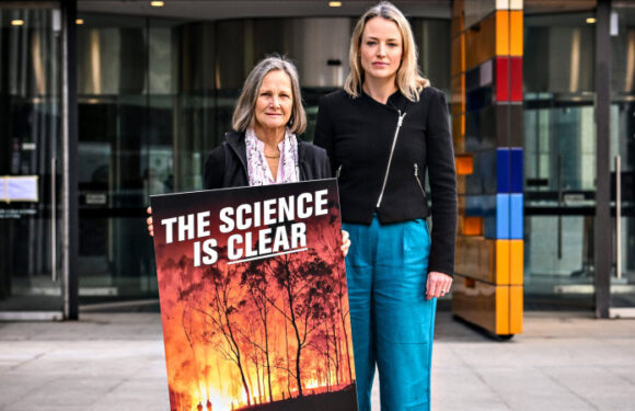 Plibersek accused of failing to protect environment as case against her coal decisions begins