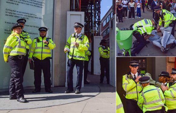 Police should investigate all shoplifting policing minister claims