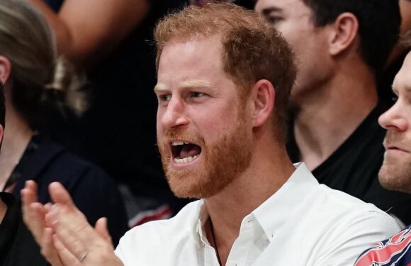 Prince Harry cheers on Team UK at Invictus wheelchair rugby final