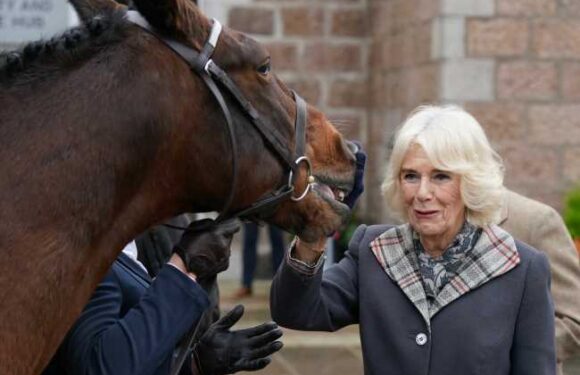Queen Camilla is largely running the show behind-the-scenes, huh