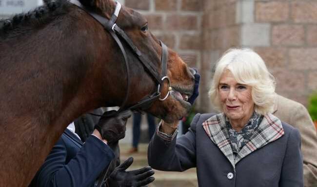 Queen Camilla is largely running the show behind-the-scenes, huh