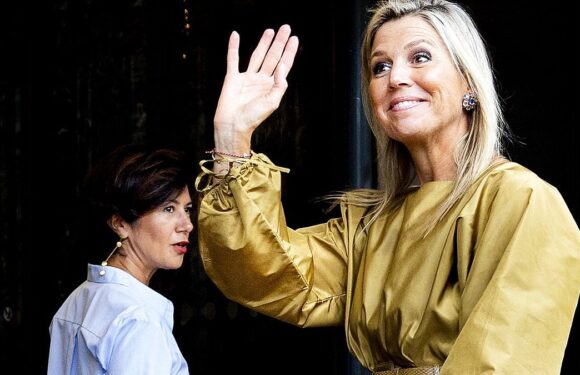 Queen Maxima looks chic in as she attends gaming industry meeting