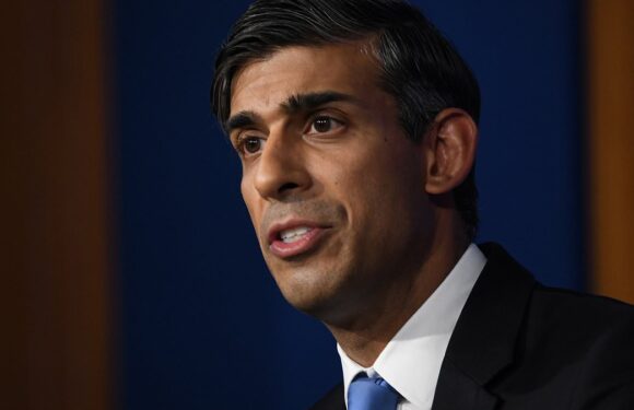 Rishi Sunak hails the approval of a major oil and gas project