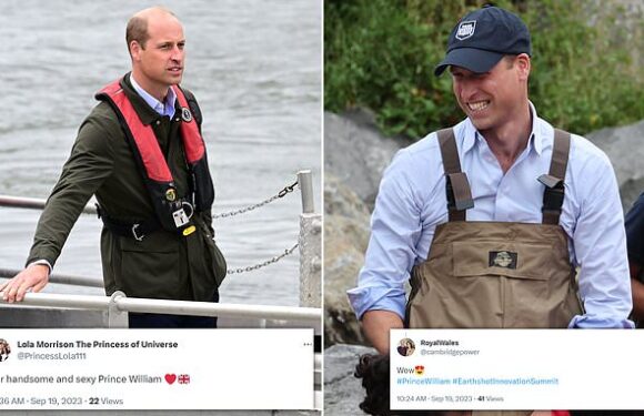 Royal fans swoon over 'sexy' Prince William in New York