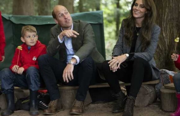 Royalist: Prince William is ‘above petty moves’ as he pathetically wages ‘war’ with Harry