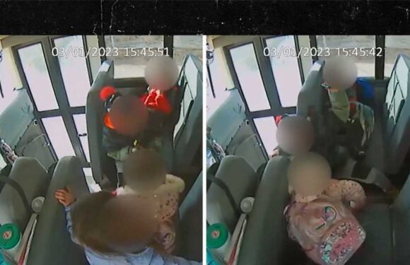 School Bus Driver Fired After Slamming On Brakes To Teach Kids A Lesson