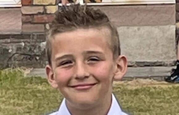 Schoolboy, 10, dies after falling from a rope swing while with friends