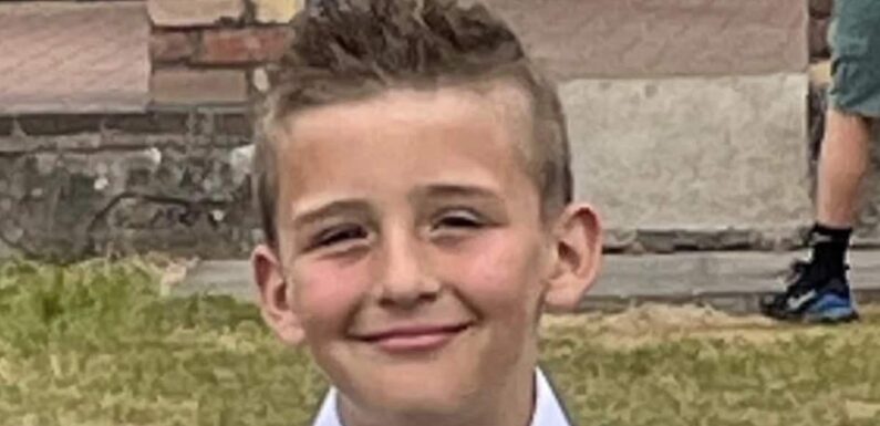 Schoolboy, 10, dies after falling from a rope swing while with friends