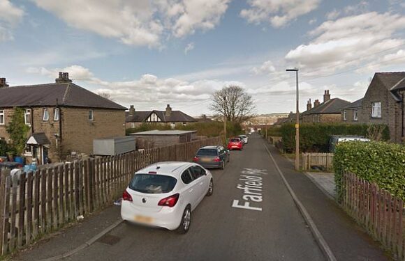 Schoolboy and man suffer 'serious' injuries due to 'Pitbull type' dog
