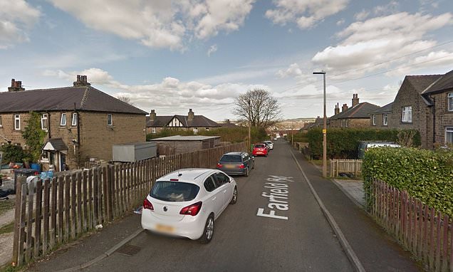 Schoolboy and man suffer 'serious' injuries due to 'Pitbull type' dog