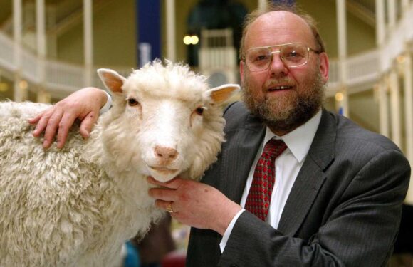 Scots professor who oversaw cloning of Dolly the sheep dies as tributes paid to scientific 'titan' | The Sun