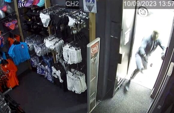 Sex shop with UK’s ‘biggest dildo selection’ attacked by balaclava-clad bikers