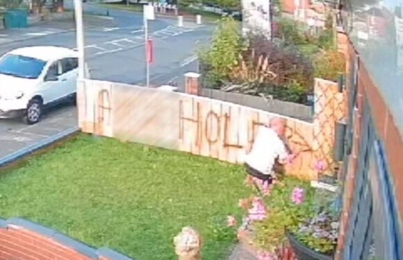 Shocking moment OAP with a walking stick spray paints revenge on his neighbour's fence 'in row over their noisy parrot' | The Sun