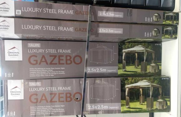 Shoppers are racing to B&M to nab bargain buys for the garden – including a £10 essential you can store for next summer | The Sun