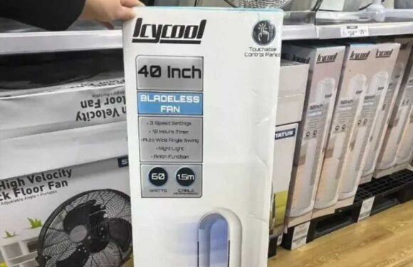 Shoppers are racing to high-street store to snap up rival to Dyson's £250 bladeless fan & it's a whopping £183 cheaper | The Sun