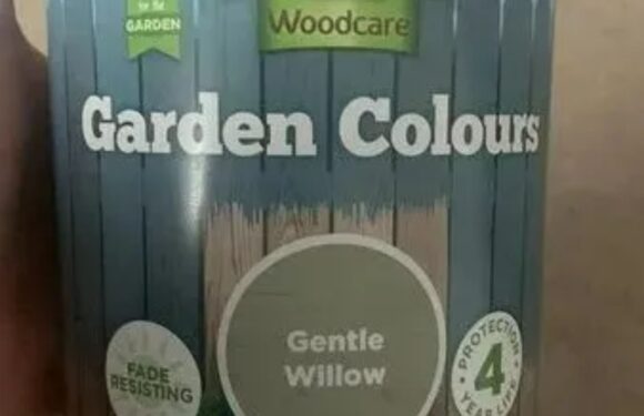 Shoppers are rushing to Asda to snap up bargain buy that'll transform their garden in an instant – and it's just £1.50 | The Sun