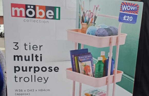 Shoppers are rushing to B&M to snap up bargain buys in the store's mega sale – and prices start from just 10p | The Sun