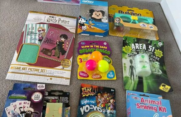 Shoppers go wild for little-known website where all toys are £1 & they're perfect for stocking fillers & rainy days | The Sun