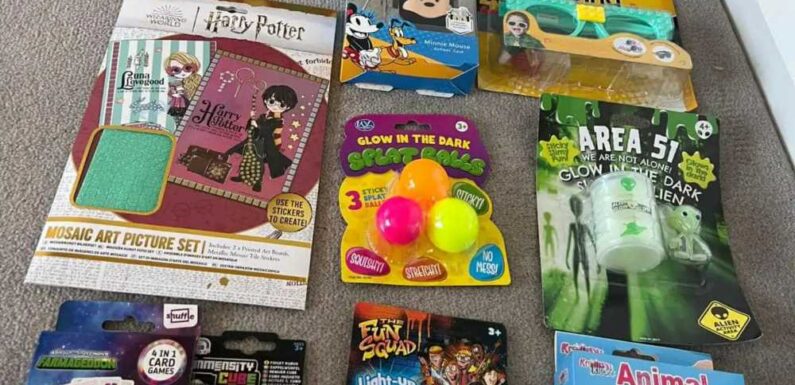 Shoppers go wild for little-known website where all toys are £1 & they're perfect for stocking fillers & rainy days | The Sun