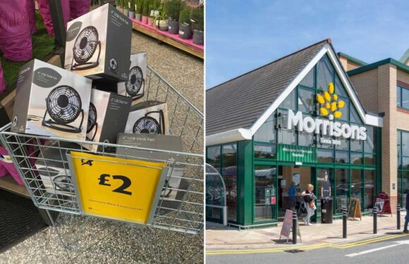 Shoppers rush to Morrisons where fans are scanning for £2 at the tills – perfect for the week-long heatwave | The Sun