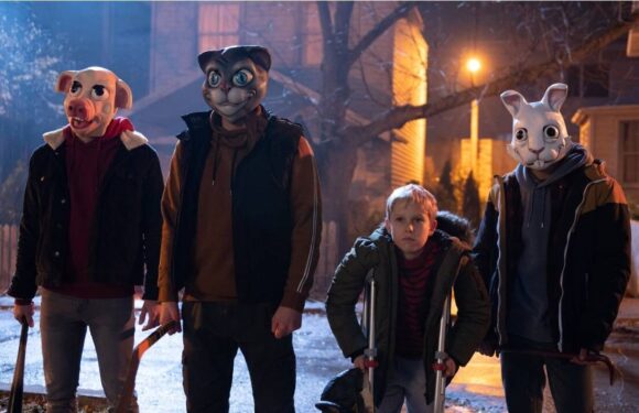 ‘Solid scares out of recycled parts’ – Cobweb review