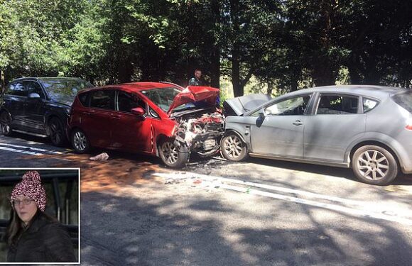 Son of woman, 85, who died in car crash says motorist 'accountable'