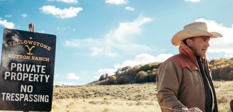 Sprawling Epic ‘Yellowstone’ Was Never Meant to Be Confined to Cable