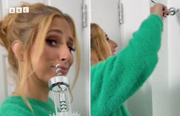 Stacey Solomon shares her genius hack to get wall plugs out, and all you need is a corkscrew | The Sun
