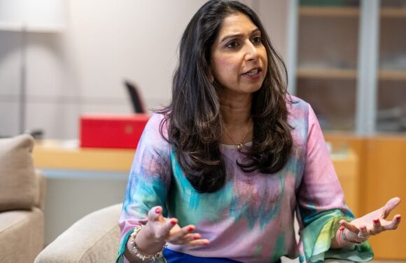 Suella Braverman takes aim at 'out-of-touch pampered elite' critics