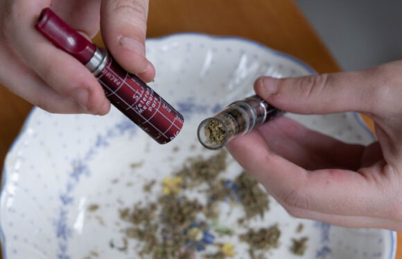 TGA flags prescription cannabis risks as pain experts claim lack of medical benefit