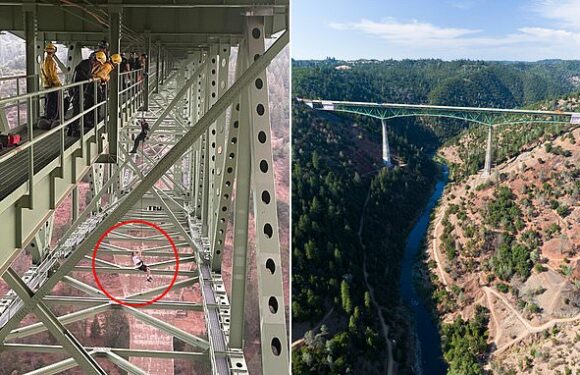 Teen rescued after getting stuck dangling from California bridge