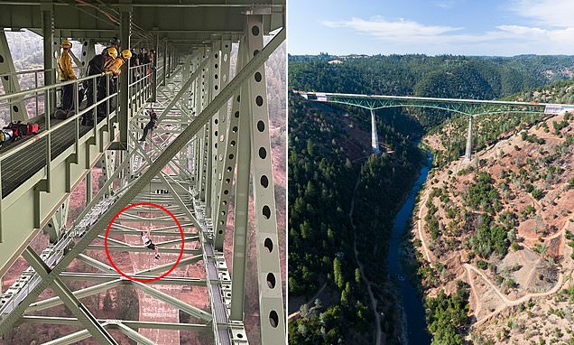 Teen rescued after getting stuck dangling from California bridge