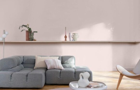 The Dulux colour of the year for 2024 has been revealed