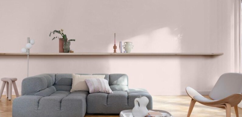 The Dulux colour of the year for 2024 has been revealed