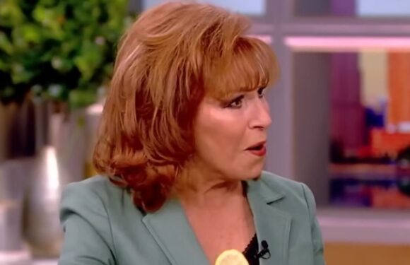 The View’s Joy Behar left guest red-faced after steamy ‘take it off’ request