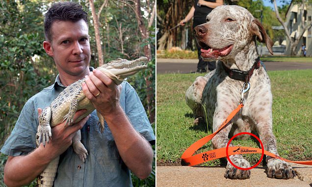 The clue that brought down dog rapist who shocked Australia