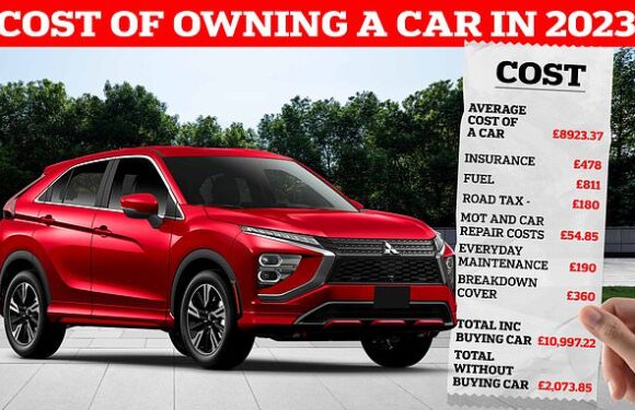 The cost of owning a car in 2023 – from fuel, to road tax and repairs