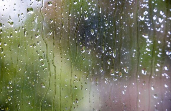 There’s an easy hack to get rid of condensation on your windows – it’s perfect for winter and takes seconds | The Sun