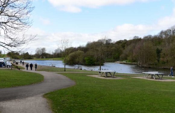 Tragedy as boy dies in busy park after 'medical emergency' with paramedics desperately trying to save him | The Sun