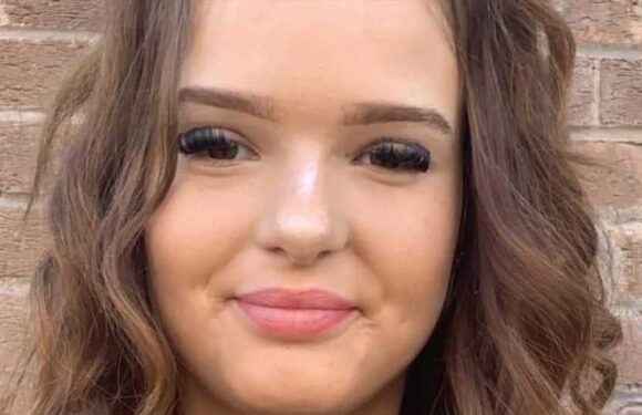Tributes to girl, 12, killed after being hit by car driven by her neighbour in Telford just days before her birthday | The Sun