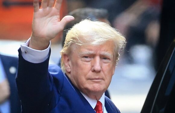 Trump says he'll TESTIFY at trial