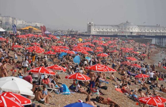 UK weather: 13 areas declare heatwave IS here with more set to follow as Brits brace for 33C highs TODAY | The Sun