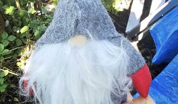 Warning to homeowners who may find Christmas gnomes in their garden
